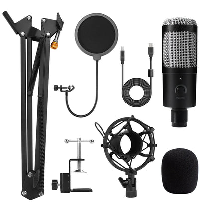 High Quality Recording Microphone