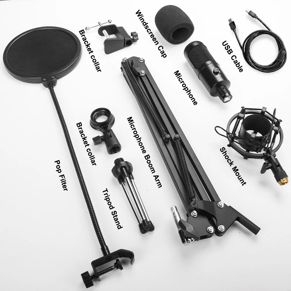 High Quality Recording Microphone