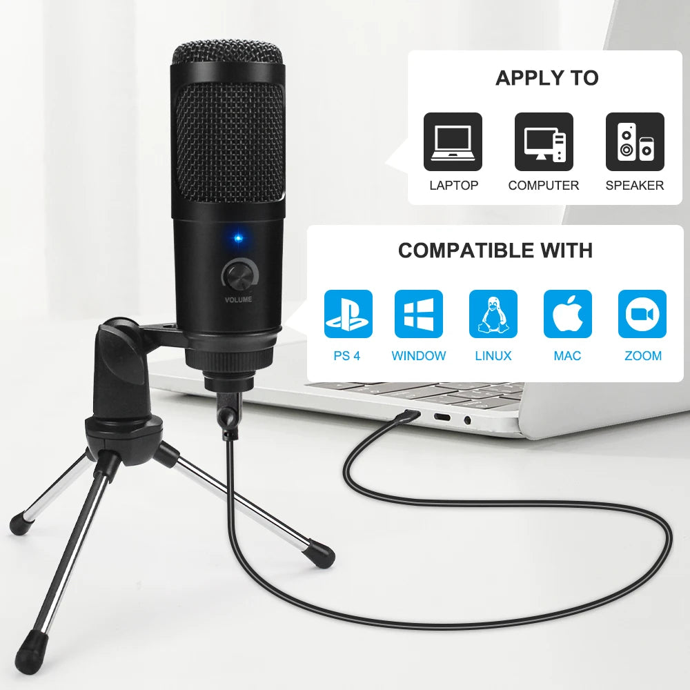 High Quality Recording Microphone